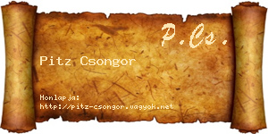 Pitz Csongor névjegykártya